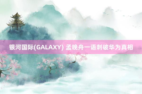 银河国际(GALAXY) 孟晚舟一语刺破华为真相