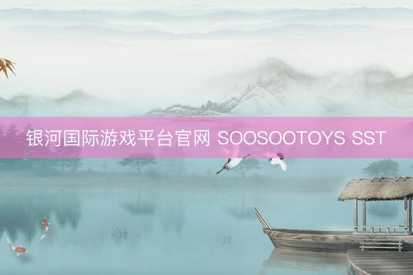 银河国际游戏平台官网 SOOSOOTOYS SST