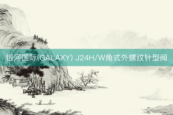 银河国际(GALAXY) J24H/W角式外螺纹针型阀