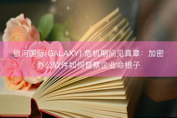 银河国际(GALAXY) 危机期间见真章:加密办公软件如何督察企业命根子