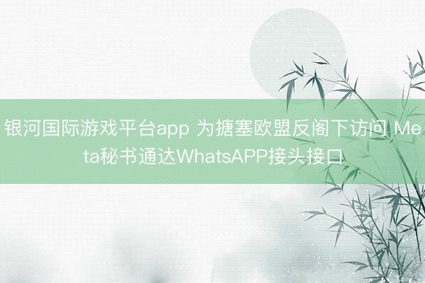 银河国际游戏平台app 为搪塞欧盟反阁下访问 Meta秘书通达WhatsAPP接头接口