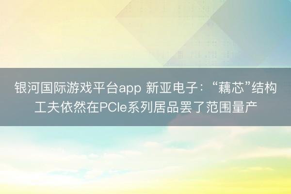 银河国际游戏平台app 新亚电子：“藕芯”结构工夫依然在PCIe系列居品罢了范围量产