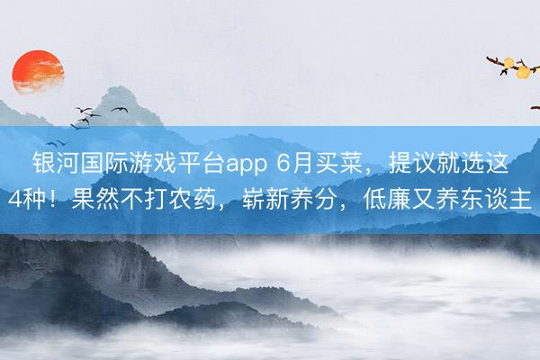 银河国际游戏平台app 6月买菜,提议就选这4种!果然不打农药,崭新养分,低廉又养东谈主